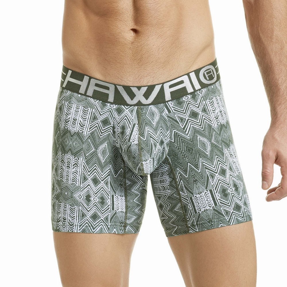 HAWAIR Original Underware Men's Sleek Boxer Brief Middle Leg 41855 green